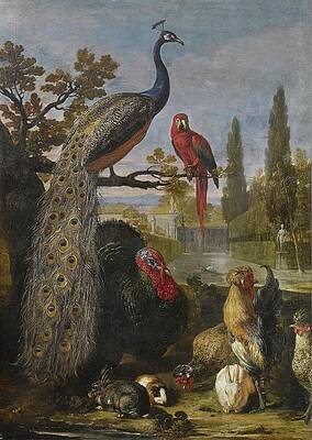 Chicken Painting - Een Pauw, Een Papegaai, Kalkoenen, Hanen, Konijnen En Een by David De Coninck