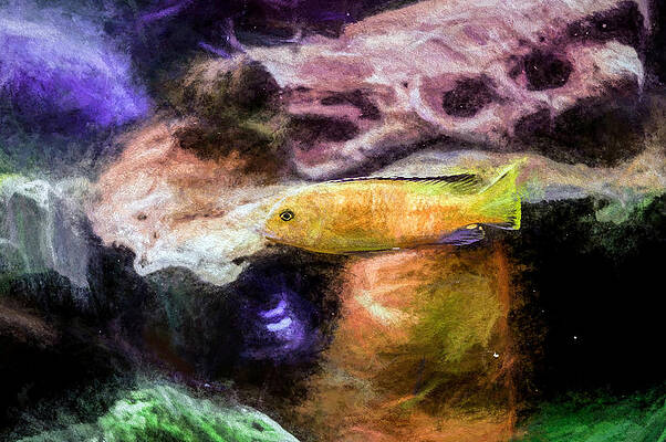 Wildlife Digital Art - Electric Yellow Cichlid Colorful by Don Northup