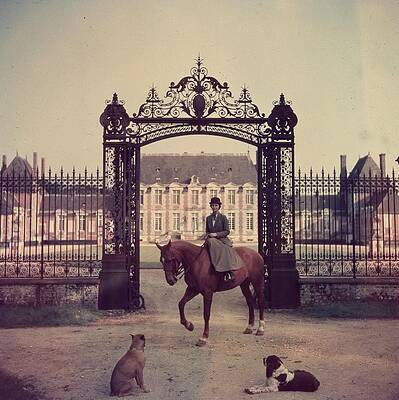 Equestrian at Ornate Castle Gate Wall Art