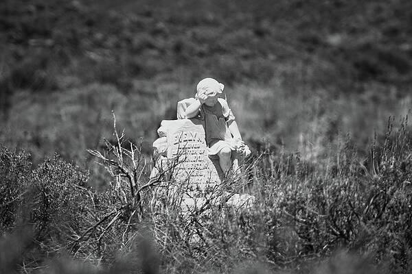 Historical Wall Art featuring the photograph Evelyn Myers by American Landscapes