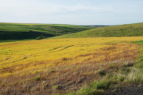 May Photograph - Evening In May by Tom Cochran