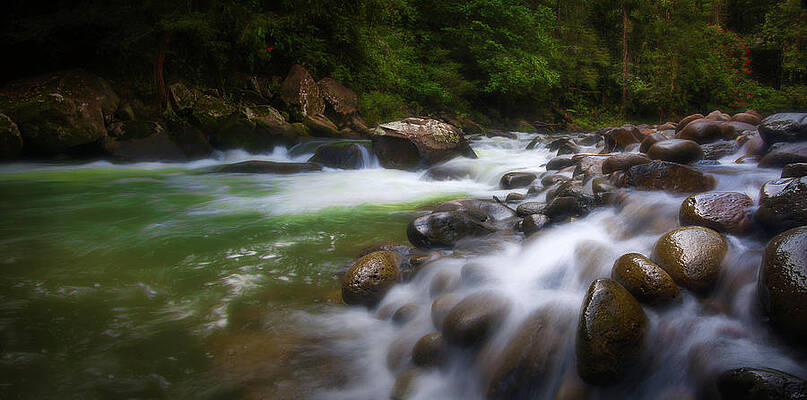 Wall Art featuring the photograph Evening On The Sarapiqui River by Owen Weber