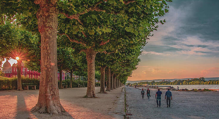 Sunset Photograph - Evening Stroll Along The Rhine River by Marcy Wielfaert
