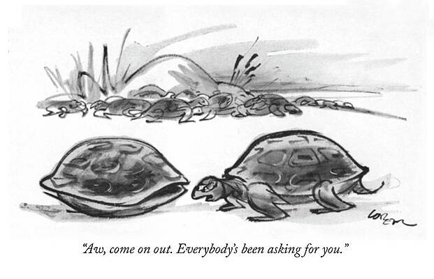 Two Turtles Having a Conversation Wall Art