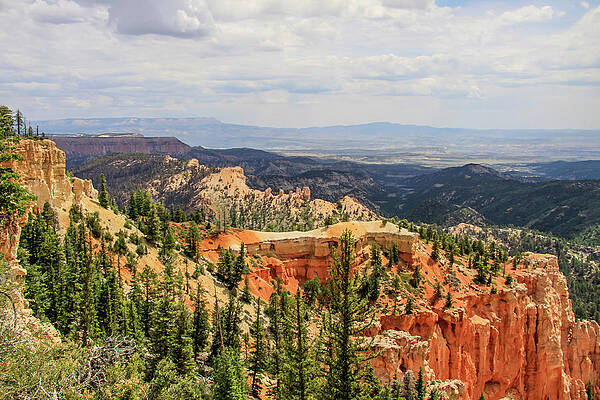 Utah Wall Art featuring the photograph Fair View Of Bryce by Dawn Richards
