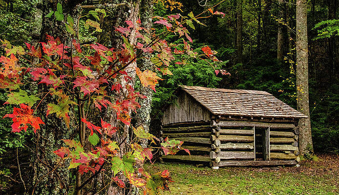 Tennessee Photograph - Fall At The Woodshed, Tipton Place by Marcy Wielfaert