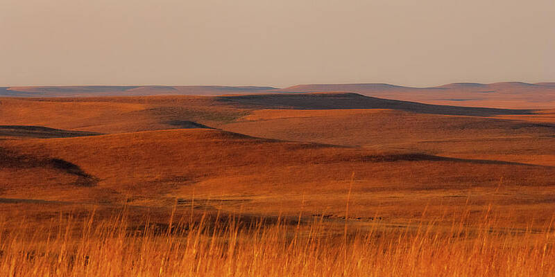 fall Colors  Flint Hills Prairie III by Jeff Phillippi
