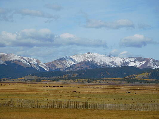 Wall Art featuring the photograph Fall Mountain Meadow by Karen Stansberry