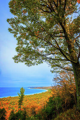 Michigan Wall Art featuring the photograph Fall On Alligator Hill by Owen Weber