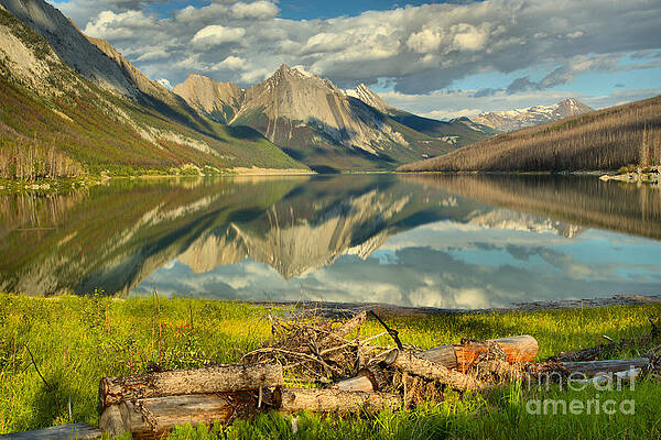 Wall Art featuring the photograph Fallen Logs At Medicine Lake by Adam Jewell