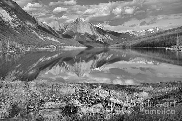 Wall Art featuring the photograph Fallen Logs At Medicine Lake Black And White by Adam Jewell
