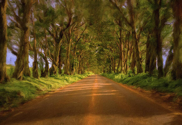 Hawaii Wall Art featuring the digital art Tree Tunnel Of Eucalyptus Trees On Hawaiian Island Of Kauai by Steven Heap