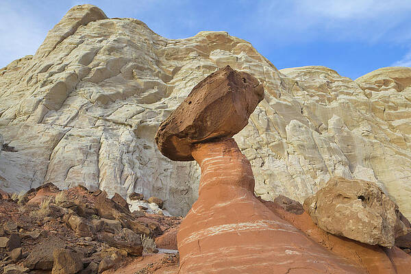 Wall Art featuring the photograph Fanciful Toadstool Shape Of Eroded by Eastcott Momatiuk