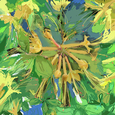 Blossom Digital Art - Fanfare by Gina Harrison