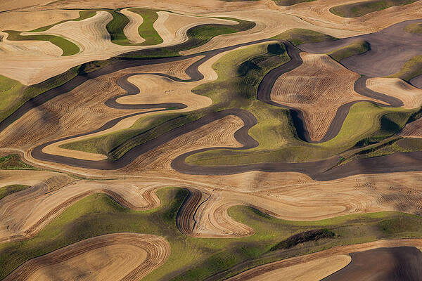 Sweeping Hills and Fields Landscape Wall Art