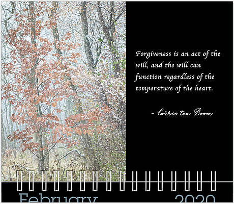 Inspirational Photograph - February 2020 Inspirational Calendar Preview by Joni Eskridge