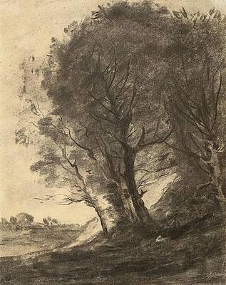 Monochrome Wall Art featuring the drawing Figure Assise Dans Un Paysage Arbor by Jean-baptiste-camille Corot