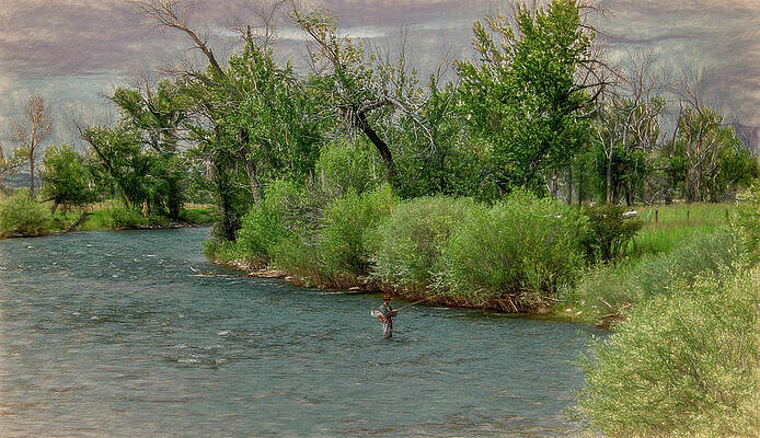 Country Photograph - First Class Fly Fishing In Montana by Marcy Wielfaert