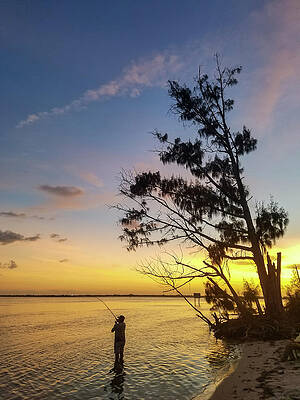 Blue Photograph - Fishing The Inlet by David Hart