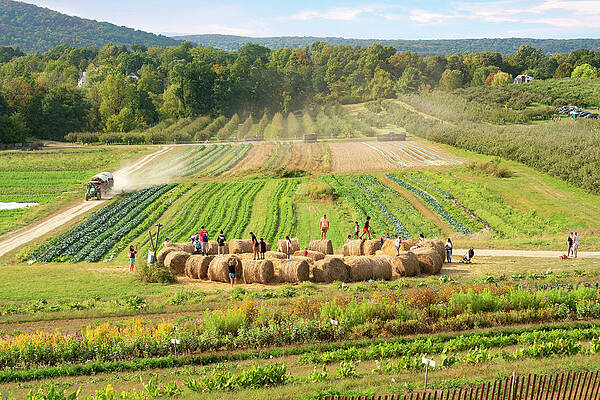 U S Wall Art featuring the digital art Fishkill Farms, New York State by Laura Zeid