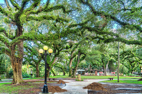Florida Wall Art featuring the digital art Flamingo Gardens In Davie Florida by Laura Zeid