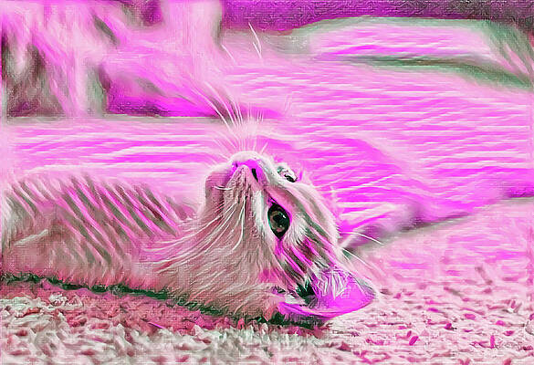 Happy Digital Art - Flat Cat Pink by Don Northup