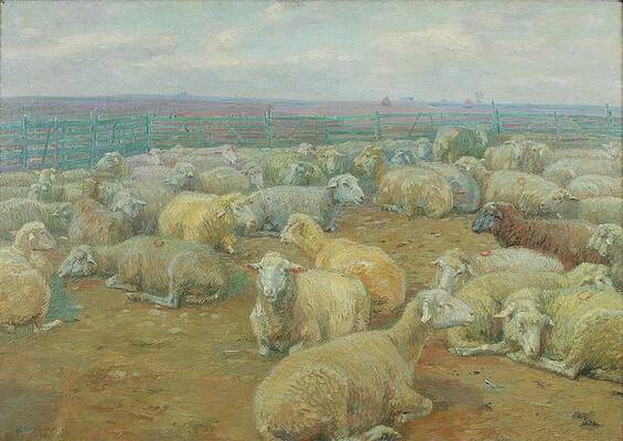 Flock Painting - Flock Of Sheep by Rudolf Konopa