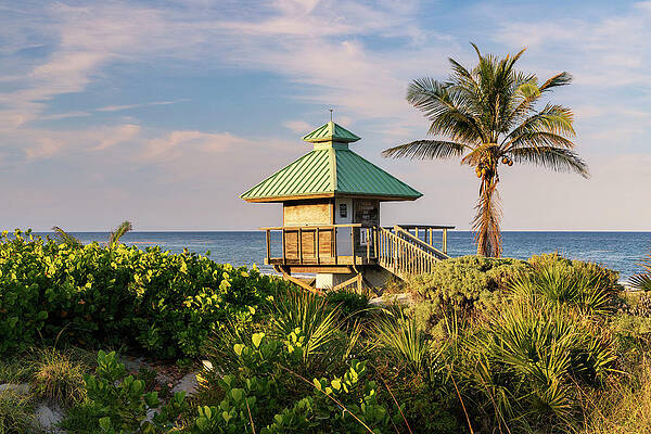 Outdoor Digital Art - Florida, Boca Raton, Lifeguard Tower & Palm Tree On The Beach by Laura Diez