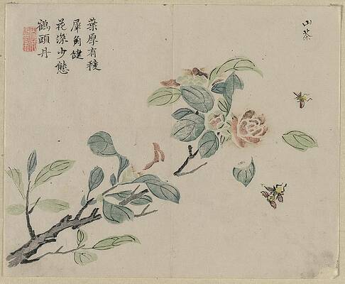 Insects Painting - Flowering Branch With Bees by Unknown