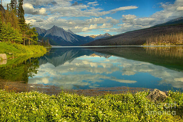 Wall Art featuring the photograph Flowers On The Edge Of Medicine Lake by Adam Jewell
