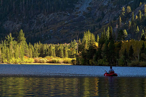 California Photograph - Fly Fisherman On Silver Lake, California by Waterdancer