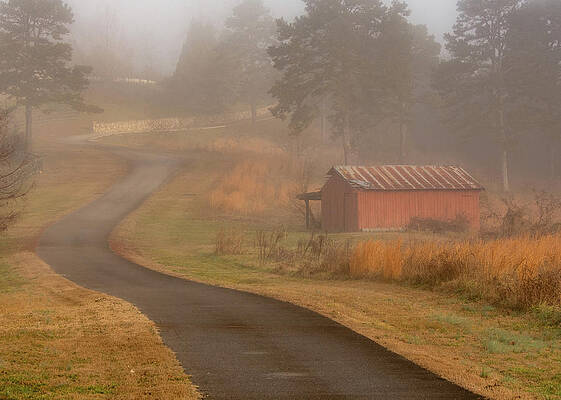 Country Photograph - Foggy In February by Marcy Wielfaert