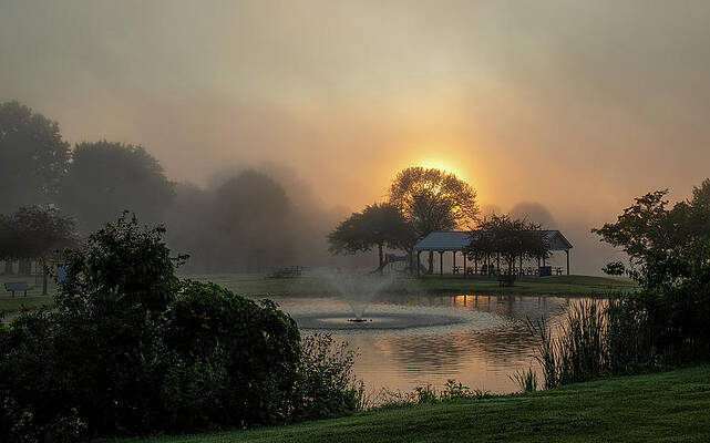 Tree Photograph - Foggy Sunrise by Richard DeYoung