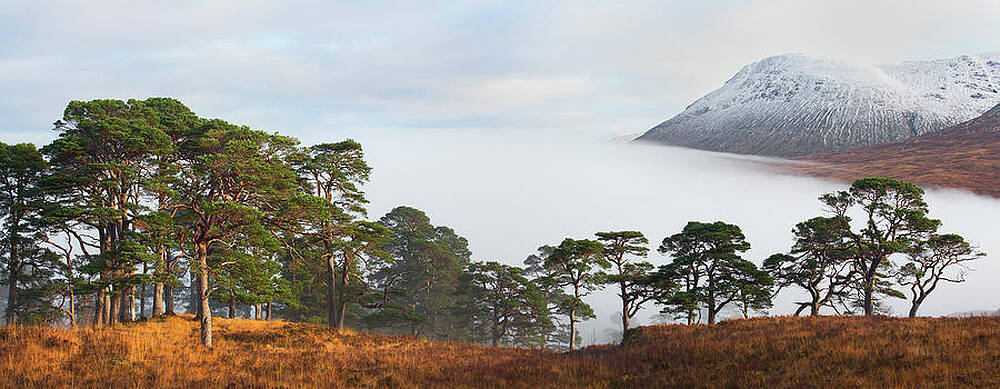 Foggy Wall Art featuring the digital art Foggy Valley, Highlands, Scotland by Fortunato Gatto
