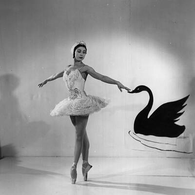Ballerina with Black Swan Painting Wall Art
