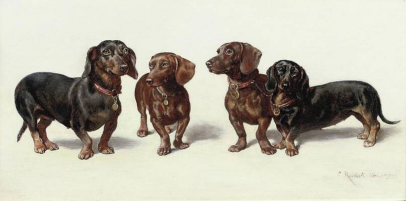 Cute Dachshund Quartet Painting