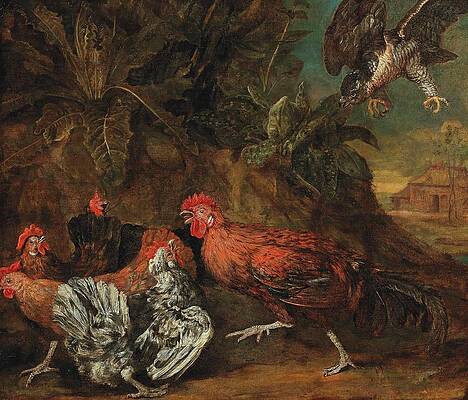 Chicken Painting - Fowl Attacked By A Bird Of Prey by Circle Of Melchior De Hondecoeter