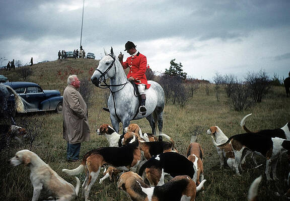 Wall Art featuring the photograph Fox Hunting Club by Michael Ochs Archives