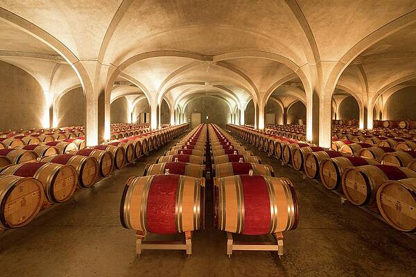 Wine Wall Art featuring the digital art France, Aquitaine-limousin-poitou-charentes, Gironde, Medoc, Cellar Of Chateau Gruaud Larose by Tim Mannakee