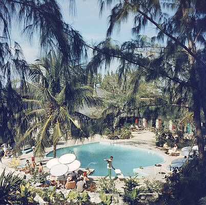 Tropical Pool Oasis Wall Art