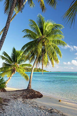 Paradise Wall Art featuring the digital art French Polynesia, Society Islands by Reinhard Schmid
