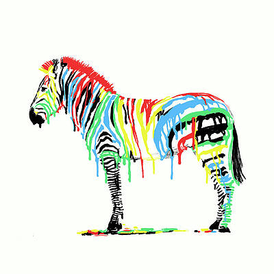 Colorful Zebra with Dripping Stripes Wall Art