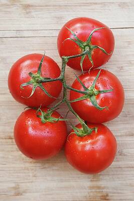 Freshly Washed Vine Tomatoes Seen From Above Print