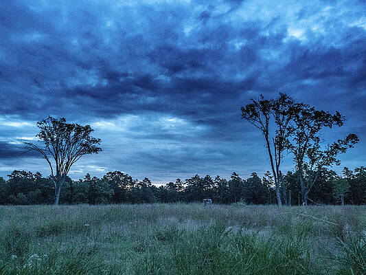 Sky Wall Art featuring the photograph Friendship Blue Hour Sunrise by Louis Dallara
