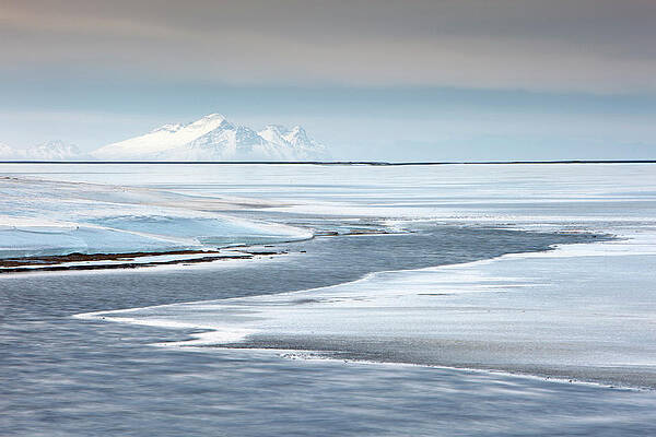 Freeze Wall Art featuring the digital art Frozen Sea, Jokulsarlon, Iceland by Vincenzo Mazza