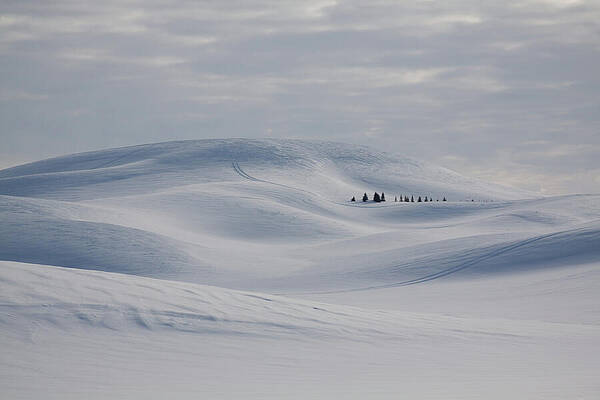 Serene Photograph - Frozen Winter Hills by Tatiana Travelways