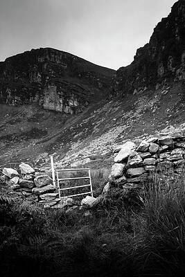 Nature Photograph - Gate Opened by Mark Callanan