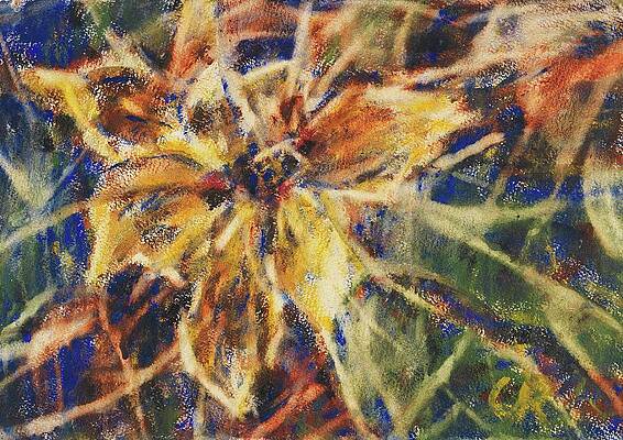 Yellow Magnolia Blossom Wall Art
