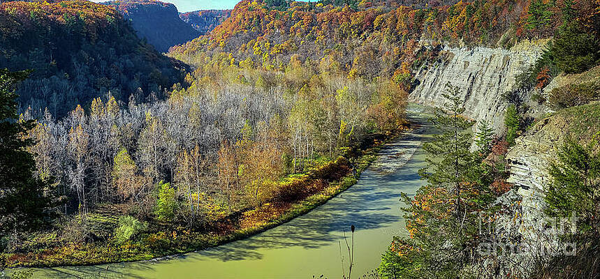 Fall Photograph - Genesee Valley Gorge by William Norton