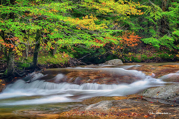 Fall Wall Art featuring the photograph Gentle Pemigewasset Cascade 2485 by Dan Beauvais